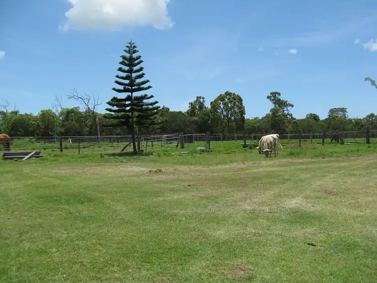 Second view of Homely rural property listing, 205 Blairs Road, Sharon QLD 4670