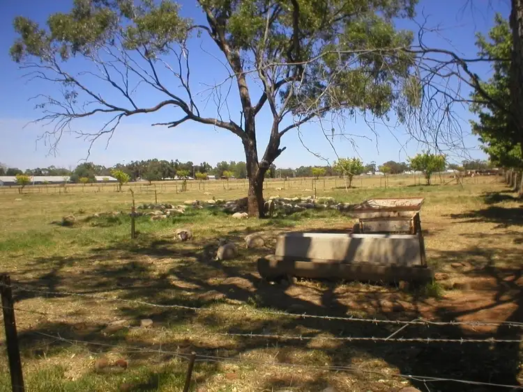 Sixth view of Homely land listing, 1257,1033,1032 Abattoir Road, Griffith NSW 2680