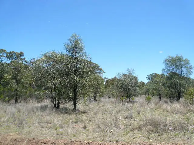 Third view of Homely rural property listing, Lot 44 MALES DRIVE, Tara QLD 4421