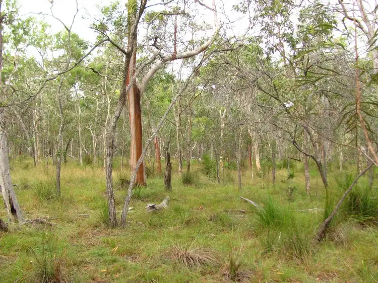 Second view of Homely rural property listing, Lot 175 Freshwater Court, Deepwater QLD 4674