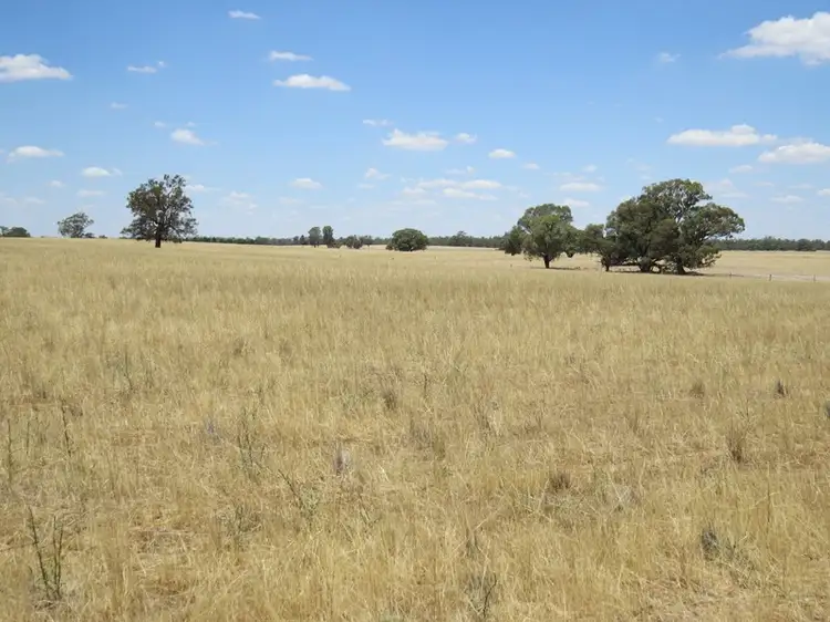 Third view of Homely rural property listing, 2738 CALIMO ROAD, Deniliquin NSW 2710