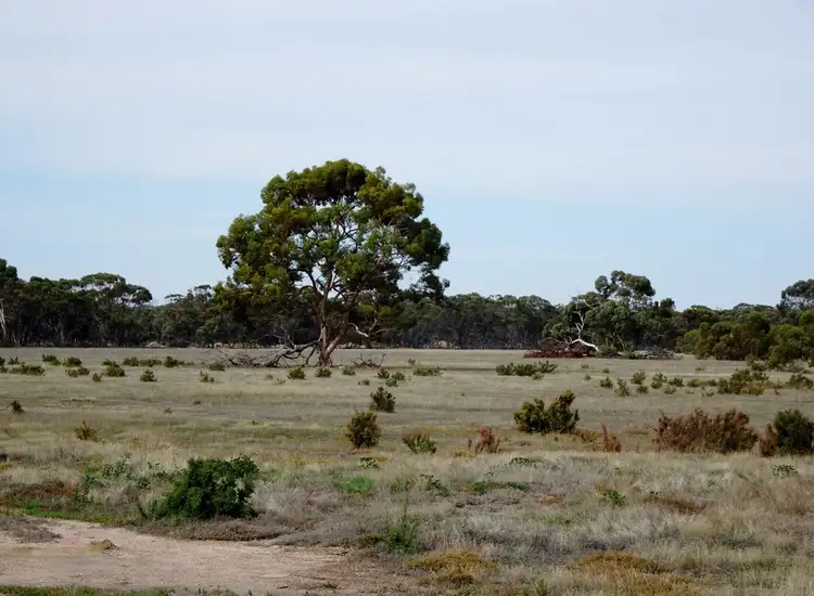 Main view of Homely rural property listing, Lot 3339 Bunmulling Rd, Popanyinning WA 6309