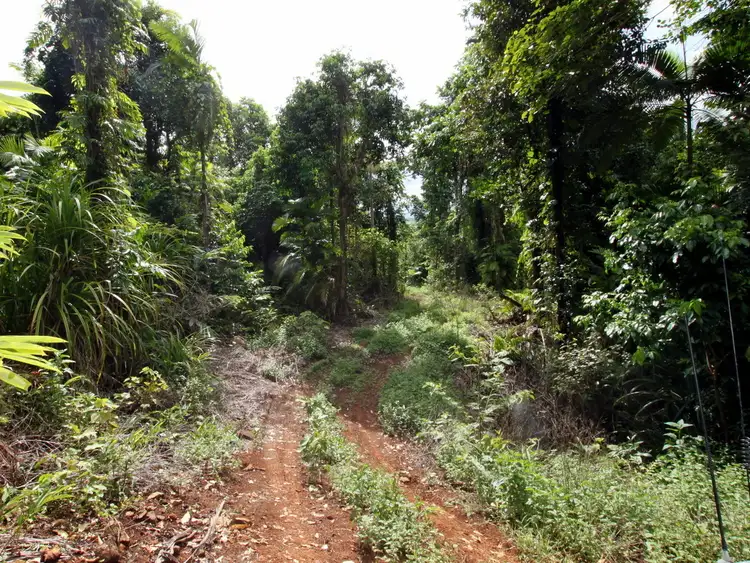 Fifth view of Homely rural property listing, LOT 2 WALTER LEVER ESTATE ROAD, Japoonvale QLD 4856