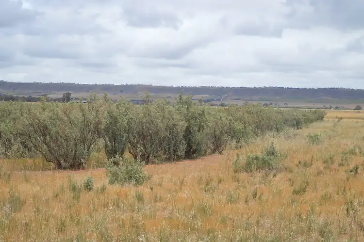 Fourth view of Homely rural property listing, 2547 Black Springs Road, Robertstown SA 5381