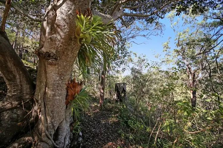 Fourth view of Homely rural property listing, Lot 2761 Kangaroo Creek Road, Kangaroo Creek NSW 2460