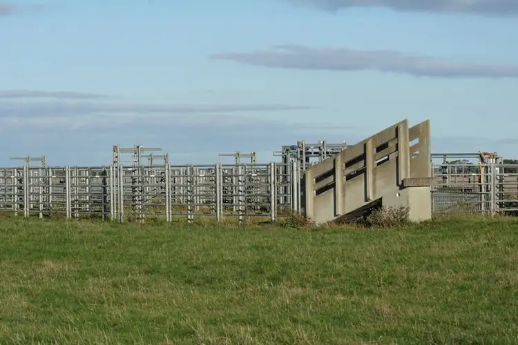 Second view of Homely rural property listing, 0 Penshurst-Warrnambool Road, Warrong VIC 3283