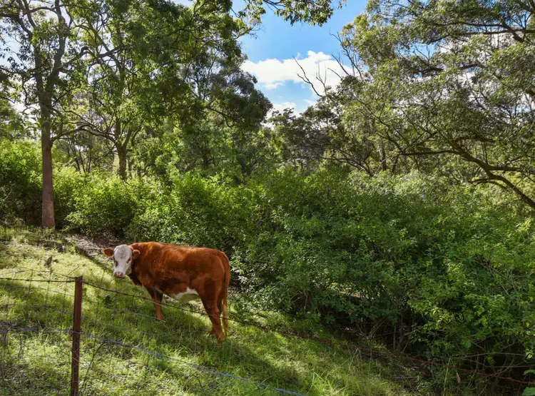 Fourth view of Homely house listing, 10905 New England Highway, Highfields QLD 4352