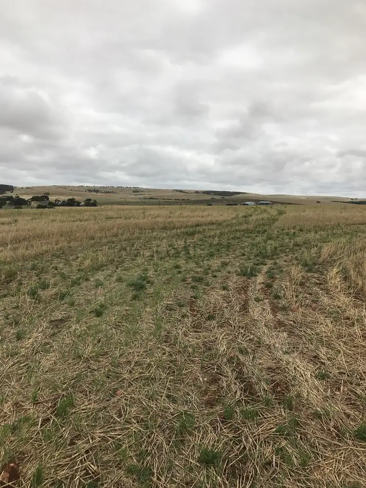 Fifth view of Homely rural property listing, 9-14 Old School Rd, Tumby Bay SA 5605