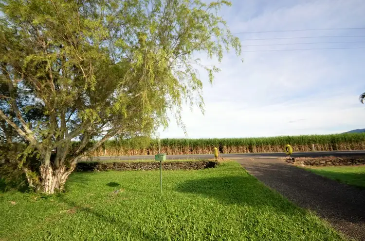 Sixth view of Homely house listing, 9 Cedars Street, Mossman QLD 4873