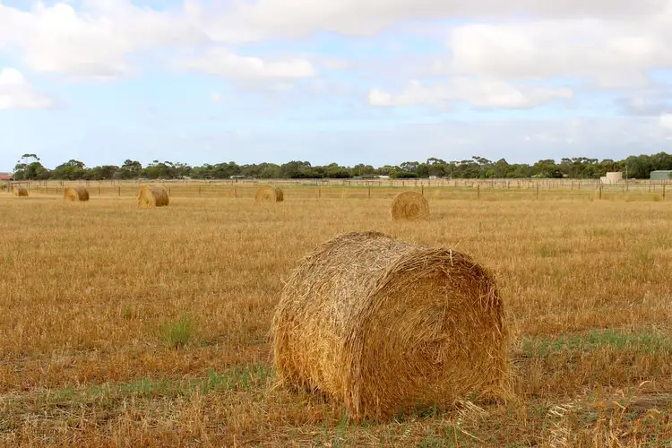 Fourth view of Homely rural property listing, A10 Lines Road, Strathalbyn SA 5255