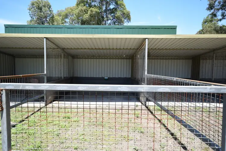 Sixth view of Homely house listing, 6 Daisy Place, Worrigee NSW 2540