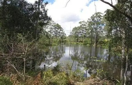 Third view of Homely house listing, 34 Thompson Rd, Beerwah QLD 4519