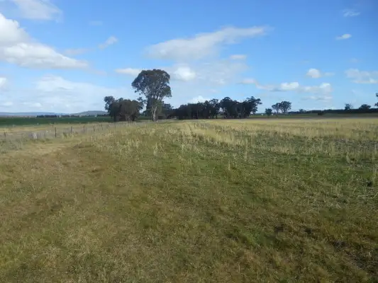 Fifth view of Homely rural property listing, Lot 2 360 Robinsons, Young NSW 2594