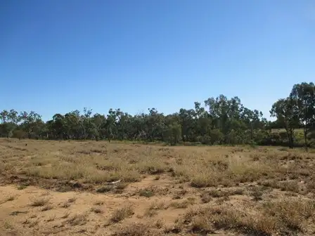 Sixth view of Homely rural property listing, 1416 HARTWOOD ROAD, Roma QLD 4455