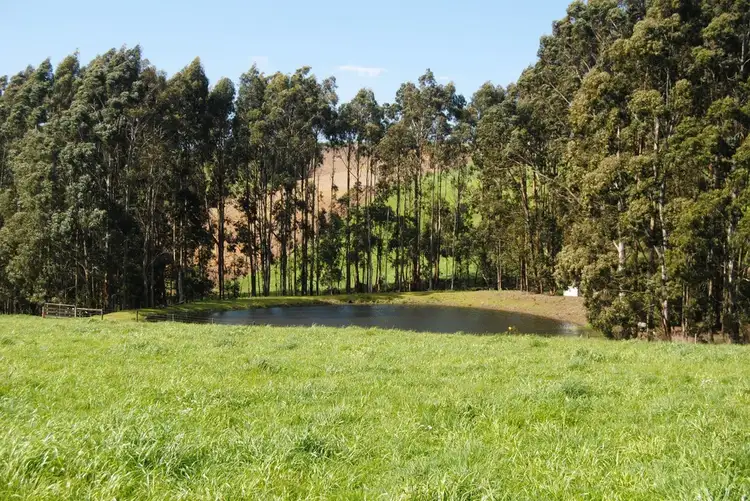Lot 3, 2365 GRAND RIDGE ROAD, Hallston VIC 3953