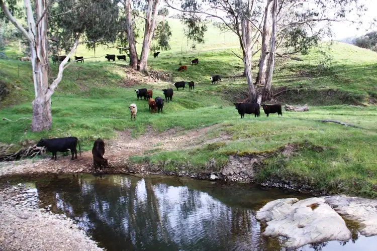 Fifth view of Homely rural property listing, Address available on request