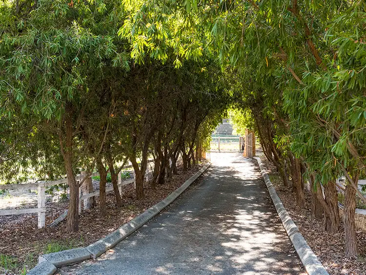 Second view of Homely house listing, 43 Leschenaultia Way, Maida Vale WA 6057