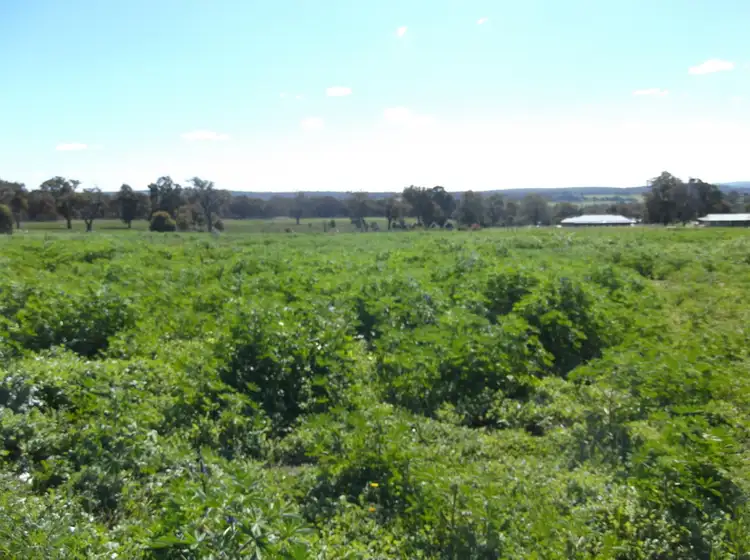 Seventh view of Homely land listing, Lot 404 Brushtail Brow, Bakers Hill WA 6562