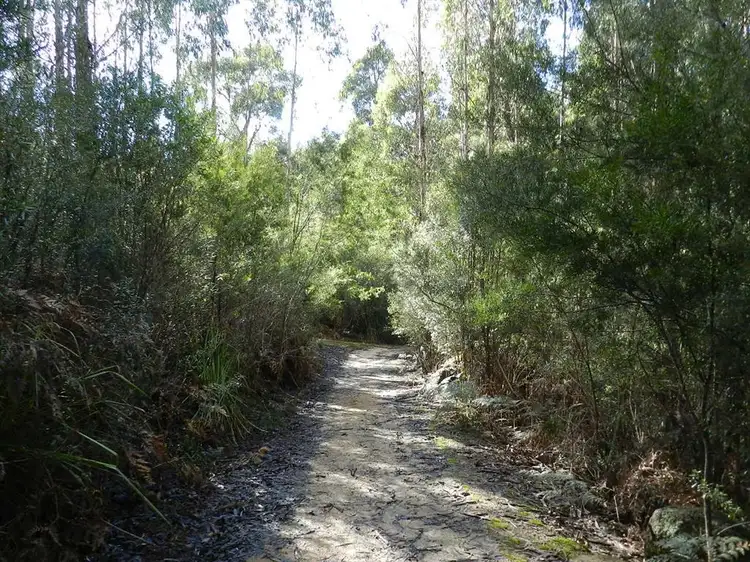 Seventh view of Homely rural property listing, 334 Upper Natone Road, Natone TAS 7321