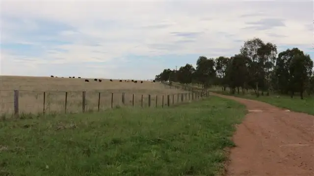 Fifth view of Homely rural property listing, 115 Milford Hills Lane, Scone NSW 2337