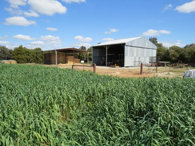 Seventh view of Homely rural property listing, 21380 Riverina Highway, Deniliquin NSW 2710