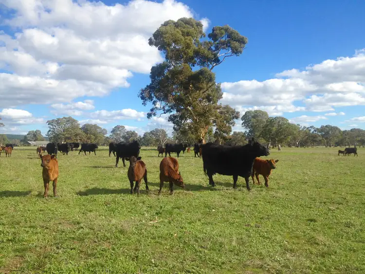 Third view of Homely land listing, Lot 704 Glover Street, Kersbrook SA 5231