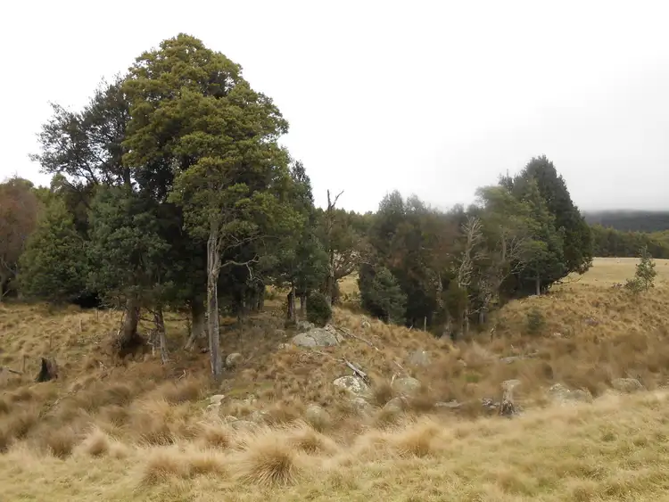 Seventh view of Homely land listing, 358 Camden Road (via Targa), Tayene TAS 7259