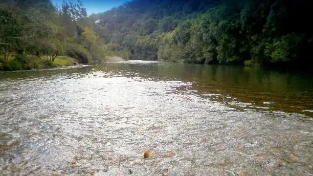 Main view of Homely rural property listing, 2030 Pipeclay Road, Pipeclay NSW 2446