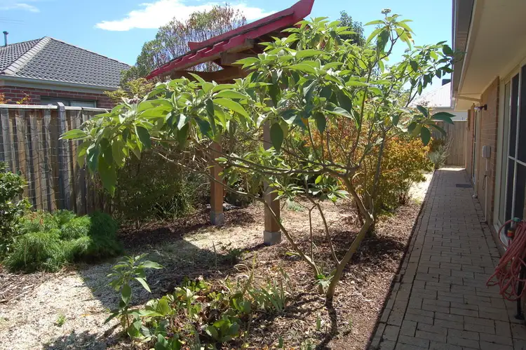 Fifth view of Homely house listing, 39 Gunghalin Drive, Doreen VIC 3754