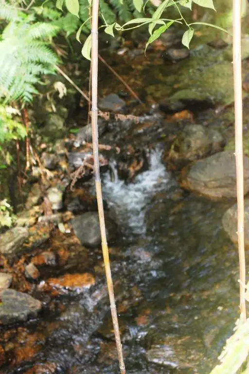 Lot 378 Hickory Road Cow Bay, Daintree QLD 4873