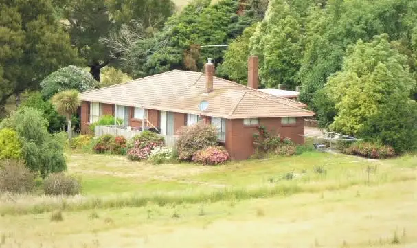 Main view of Homely rural property listing, 279 Burnside Road, North Scottsdale TAS 7260