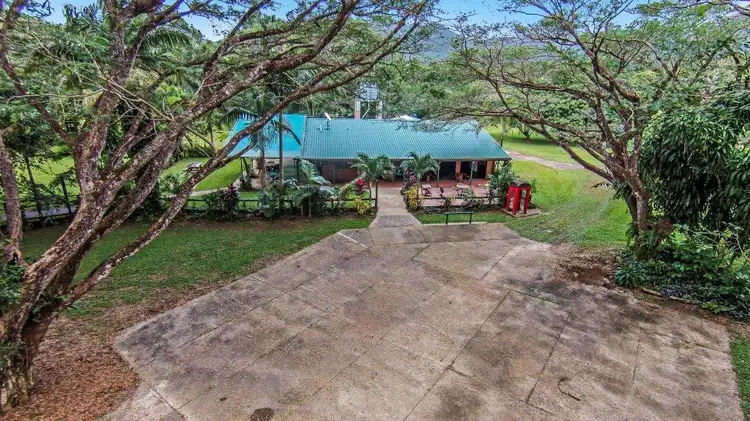 Third view of Homely house listing, 80 Cape Tribulation Road, Daintree QLD 4873