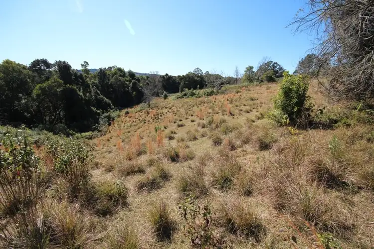 Fifth view of Homely rural property listing, 723 Glenwarrin Road, Elands NSW 2429