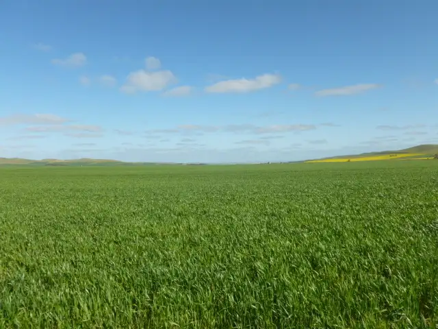 Second view of Homely rural property listing, - 'Heathermoore', Spalding SA 5454