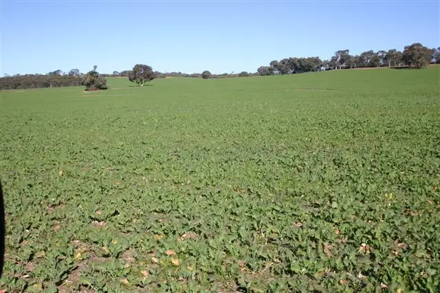 Seventh view of Homely rural property listing, Address available on request