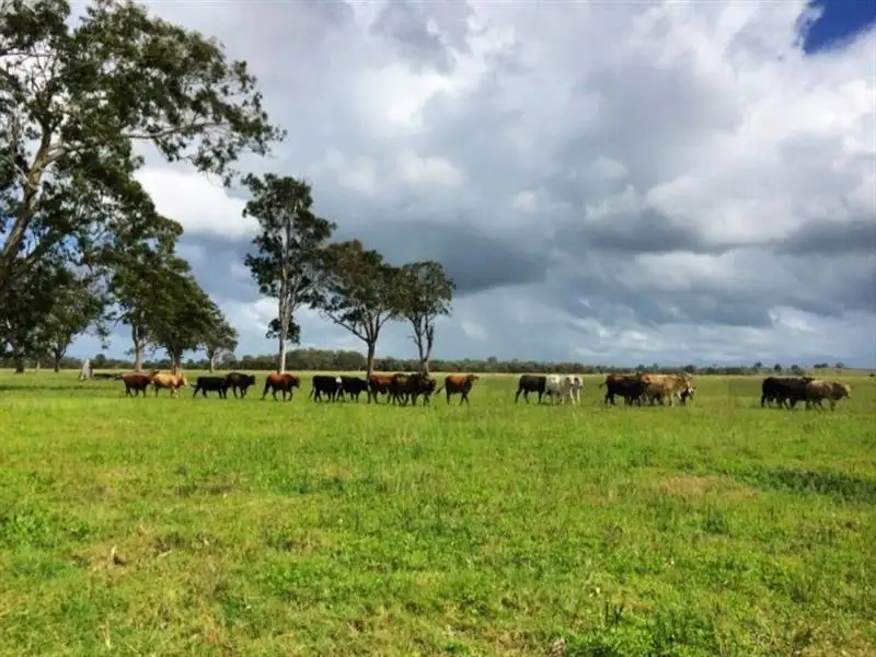 Main view of Homely rural property listing, 130 Myall Creek Road, Bungawalbin NSW 2469