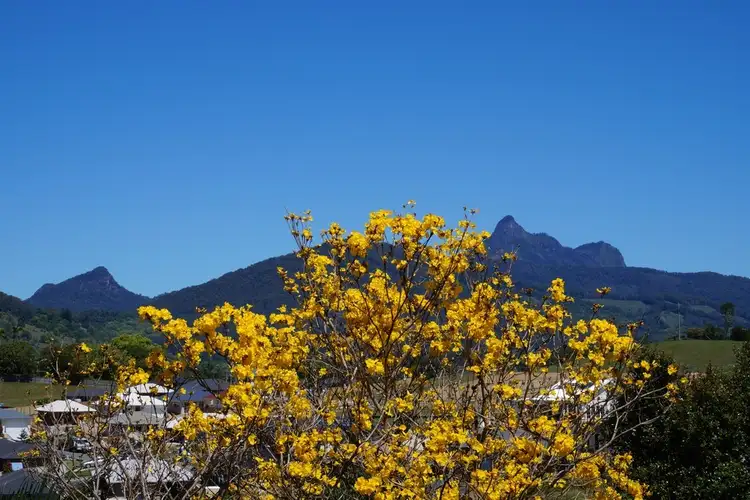 Seventh view of Homely house listing, 2 THE PLATEAU, Murwillumbah NSW 2484