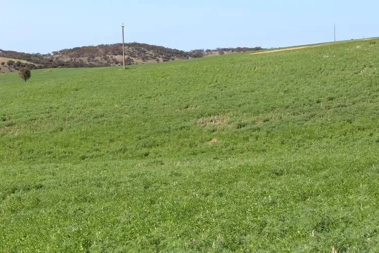 Seventh view of Homely rural property listing, 14 & 42 Bawdens Rd, Tumby Bay SA 5605