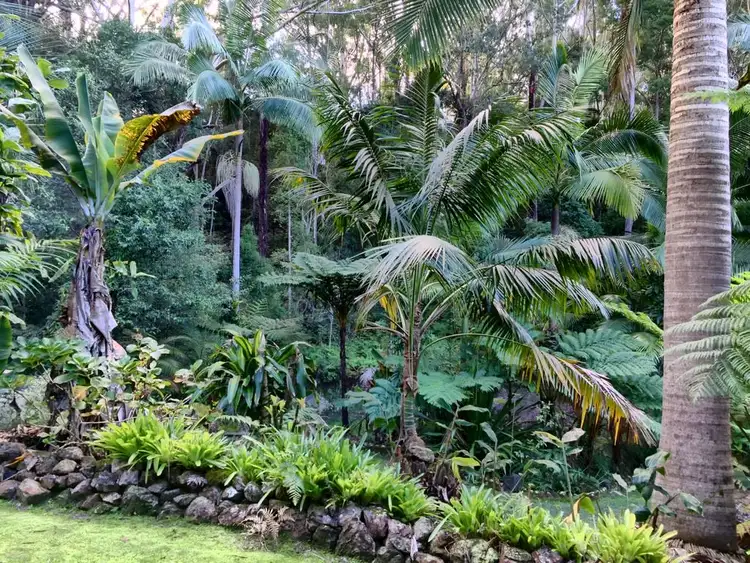 Second view of Homely house listing, 114 Maso Road, Repentance Creek NSW 2480