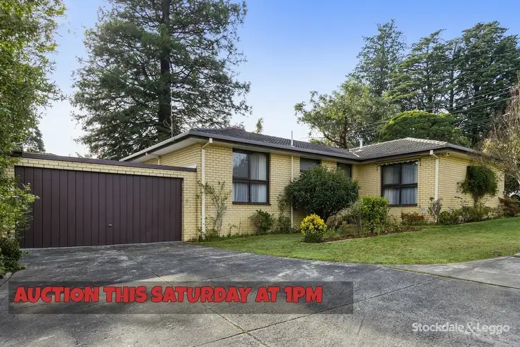 Main view of Homely unit listing, 6/64-66 Shady Grove, Nunawading VIC 3131