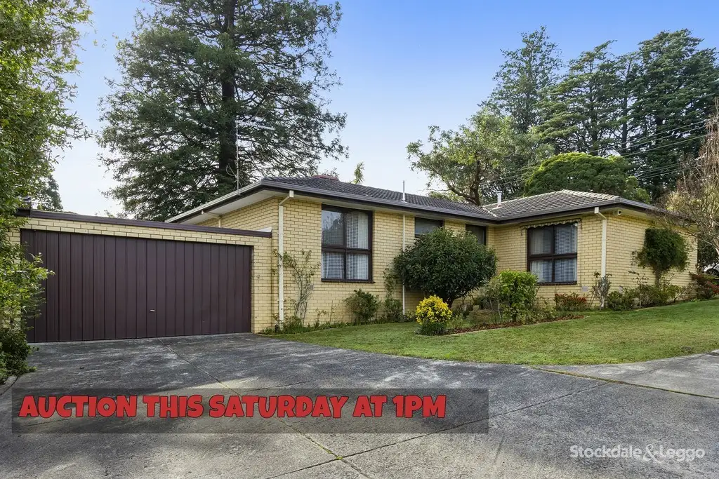 Main view of Homely unit listing, 6/64-66 Shady Grove, Nunawading VIC 3131