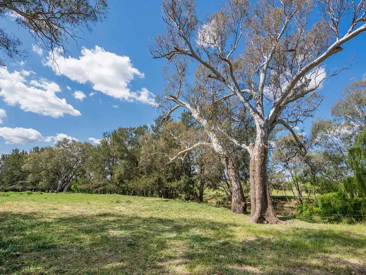 Fifth view of Homely rural property listing, 344 Wilbetree Road, Mudgee NSW 2850