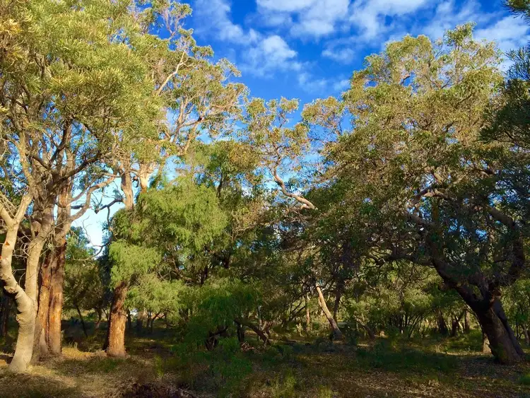 Second view of Homely land listing, Lot 103 Gunyulgup Valley Drive, Yallingup WA 6282
