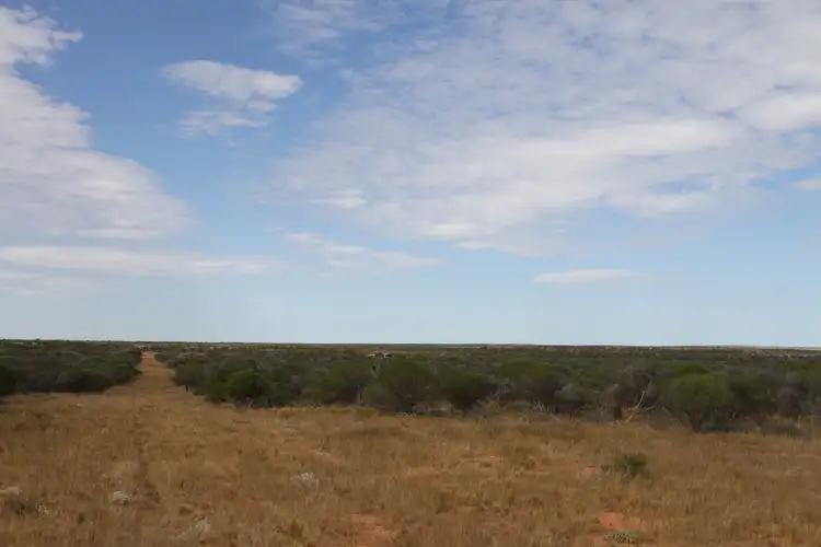 Seventh view of Homely rural property listing, 6365 Carnarvon-Mullewa Road, Mullewa WA 6630