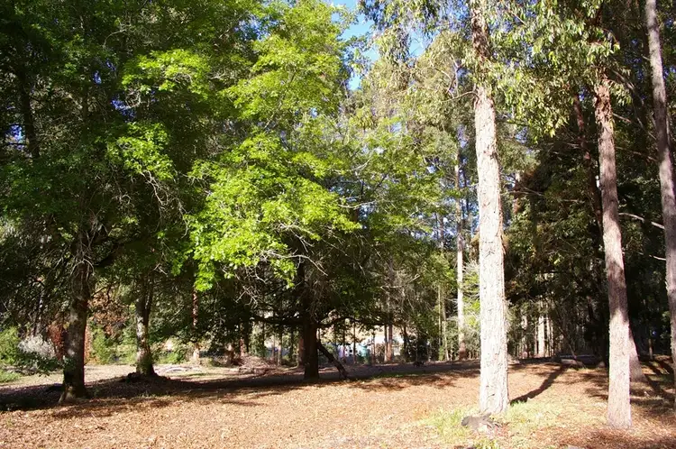 Main view of Homely land listing, Lot 132 Karri Lane, Quinninup WA 6258