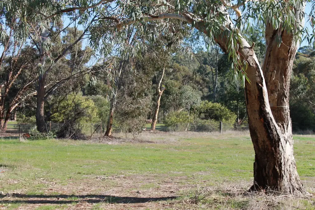 Main view of Homely rural property listing, Address available on request