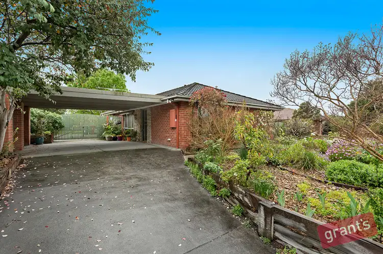 20 Cardamon Drive, Hallam VIC 3803