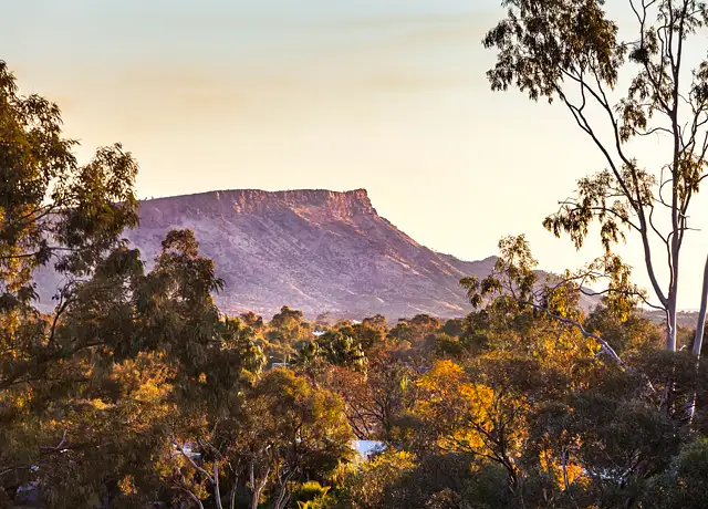 Sixth view of Homely house listing, 31 Plumbago Crescent, Alice Springs NT 870