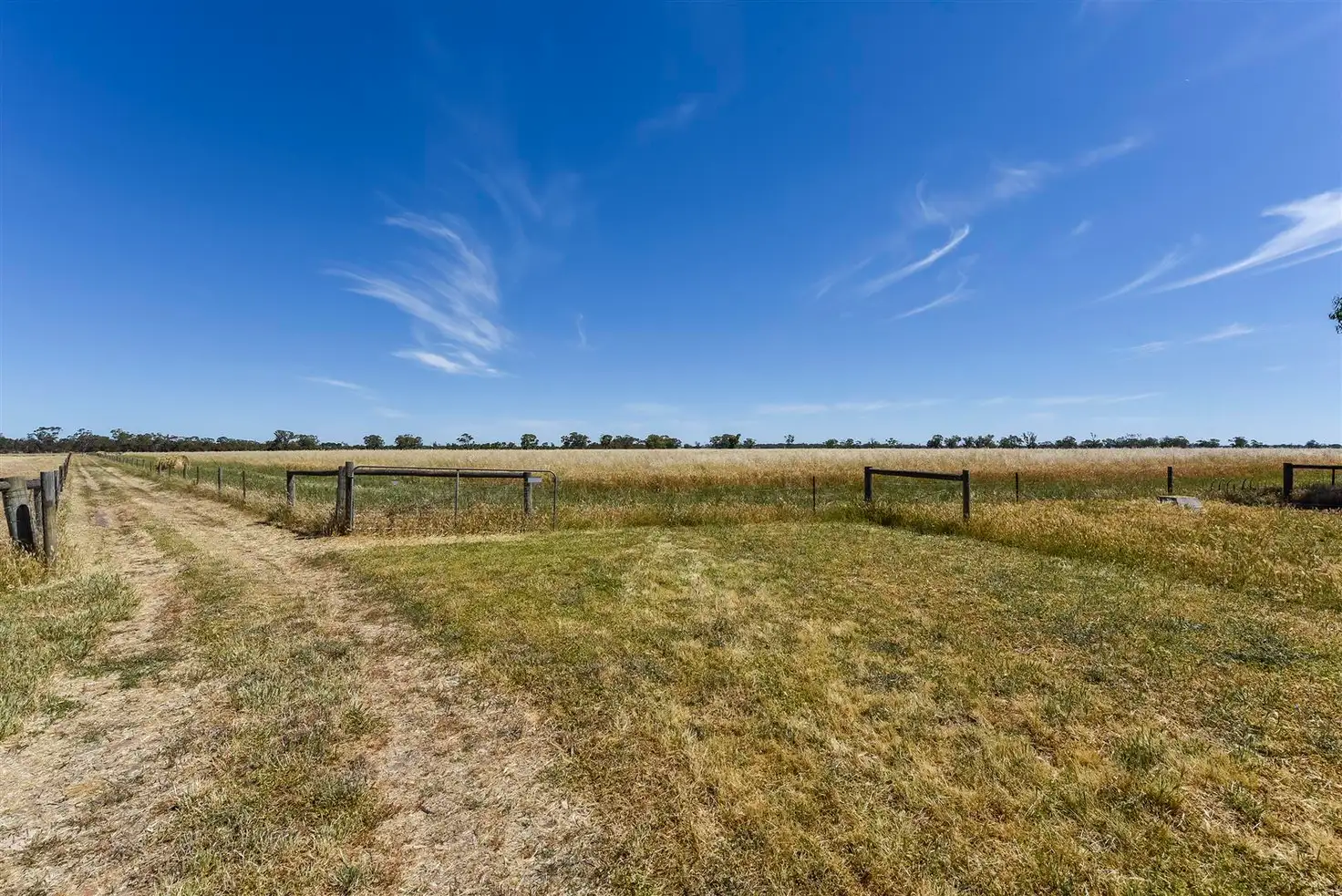 Main view of Homely rural property listing, 353B Cannawigara Road, Bordertown SA 5268