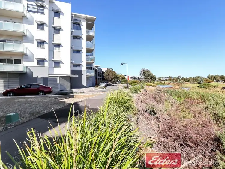 12/21-25 Euston Walk, Mawson Lakes SA 5095